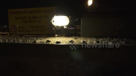 Moths swarming to the flame / light at a bridge in Budapest.