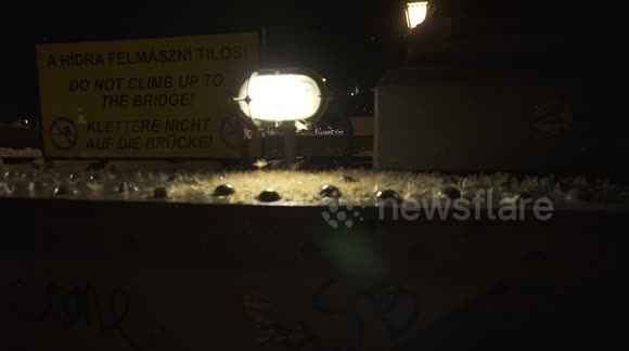 Moths swarming to the flame / light at a bridge in Budapest.