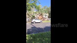 Brisbane: Intense Storm Uproots Trees
