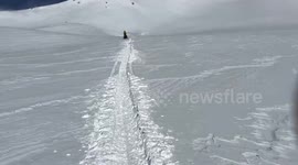 US: Mount Shasta Rangers Rescue Unprepared Goose at 10,000 Feet