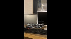 Exclusive- Saphera’s stand-off: Cat vs. new roommate