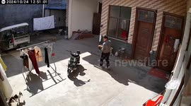 Cat snatches hamster in sudden moment caught on video in China