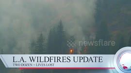 US: Stepping Up For Los Angeles Wildfire Victims