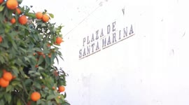 Spain: The tavern being investigated for food poisoning held two events