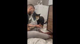 Exclusive- A paw-sitive potty partnership when man holds cats paws while it poops