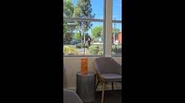 Watching a guy flexing his muscles in the mirrored windows,.