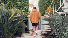 US: Hazardous air quality forces residents indoors after wildfires in Los Angeles