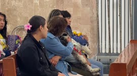 Mexico: Thousands of Mexicans take their pets to the temple to bless them