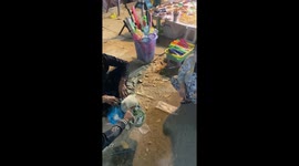 It's amazing that the dog held the shell in its mouth for a long time to ask for money from passersby. It's so touching.