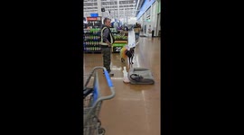 Dog's Adorable New Year's Eve Costume