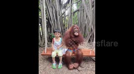 US: Reluctant Orangutan Makes Little Boy Cry