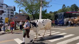 Brazil, Treze Tilias: Tiroler Fest Parade