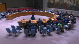 US: Representatives to UN hope for smooth implementation of Gaza ceasefire agreement