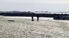 A metal prospector with his metal detector explores the beach followed by his assistant who carries a small shovel to dig on the seafront of Fiumicino, near Rome.