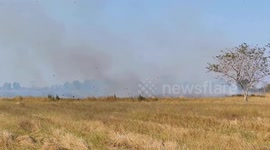 Farmers continue burning fields as air pollution worsens in Thailand