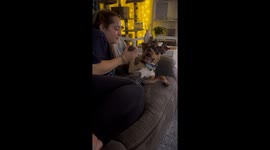 Pretending to Take a Bite Out of Our Dog