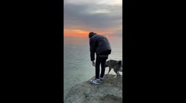 Bystander Swims To Save Pups Ball