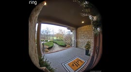 When The Kids Won't Stop Throwing The Ball In The House