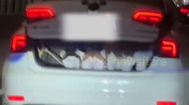 Multiple huskies found seated in car trunk during commute