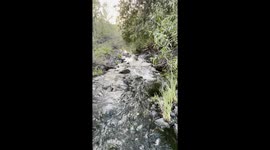 River in Los Penasquitos Canyon County Preserve