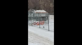 Dump Truck Breaks of a big branch, tree is mostly fine