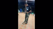 temp