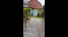 Reuben the King Pin enjoying his favourite activity - catching snowflakes when the winter kicks in!