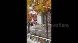 China: A Cat with Its Leg Raised for No Apparent Reason