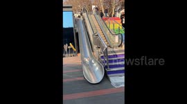 Adorable Dog Becomes Playground Star, Sliding Down with Kids in Shandong