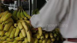 Panama: Panama announces appeal against WTO ruling in favor of Costa Rica on imports