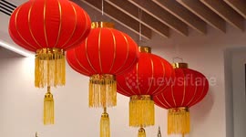 FAO welcomes Chinese Year of Snake