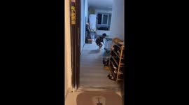 Chinese boy rushes to save cats during earthquake