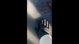 First time having 3 degree weather in South Louisiana with 10 inches of snow