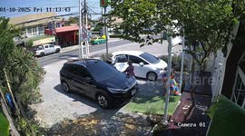 Pet dog is so excited to leap into swimming pool he drags nanny into water