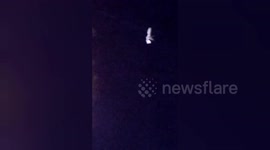 Social organisation resqued cutting the thread of a kite entangled in the wing of a bird in Shahdol, Madhya Pradesh