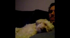 balou, who is coming?.....nobody