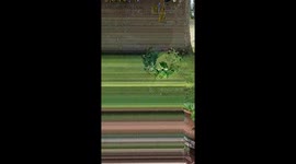 Pitbull Waterbury 2016