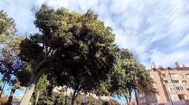 Spain: Almería, under orange alert due to passage of storm Herminia