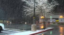 US, Los Angeles: Palmdale Heavy Overnight Snowfall Part 2