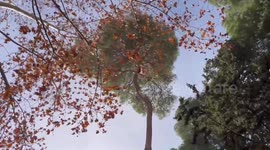 Spain: Herminia brings wind gusts of up to 109 kilometers per hour in Albacete