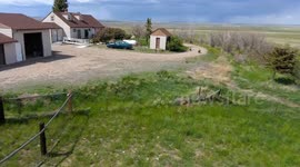 Study finds drones better than dogs at keeping dangerous bears away from people