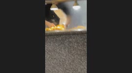 Exclusive: Man takes all-you-can-eat to new heights at Hong Kong Express hotel