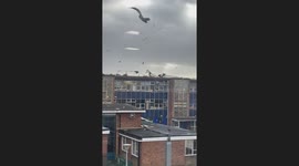 Mighty winds of Storm Éowyn wreak havoc on school roof in Stockton