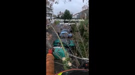 Tree trimmer accident highlights why cut protection should never be ignored