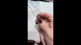 Gross cockroach-shaped nail art scares toddler