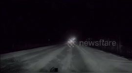 US: Trooper Avoids Crash After Dodge Charger Strikes Deer on M-46