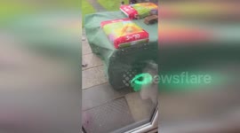 UK: Storm Eowyn Wrecks Shed in Glasgow as West Lothian Deals with Widespread Damage