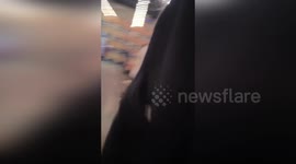 US: PETA Disrupts UMass Event Over Alleged Marmoset Torture in Lab