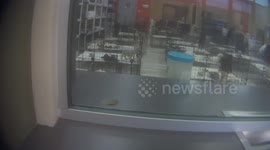 US: Undercover Investigation Exposes Sick, Dying Puppies in Nevada Pet Stores