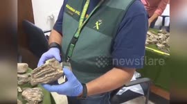 Spain: Over 100 Mummy Remains Recovered From Illegal Excavation Site in Spain